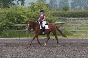 ISIS Dressage Challenge 2008